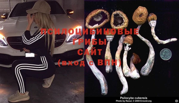 кокс Алзамай