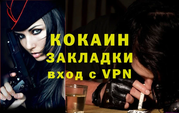 кокс Алзамай